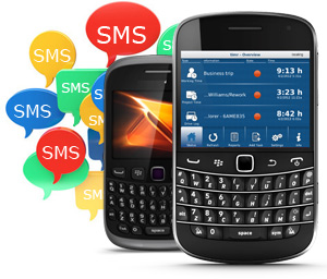 Bulk SMS Software for BlackBerry Mobile