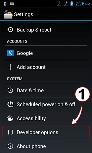 Developer Options